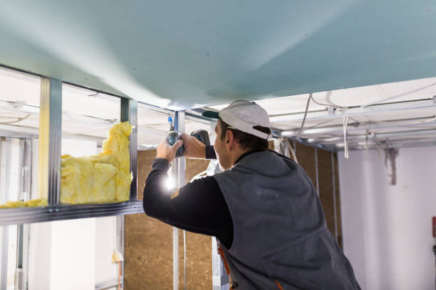 Best Home Insulation Services  in Blue Springs, MO