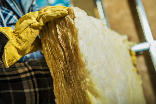 Best Attic Insulation Installation  in Blue Springs, MO